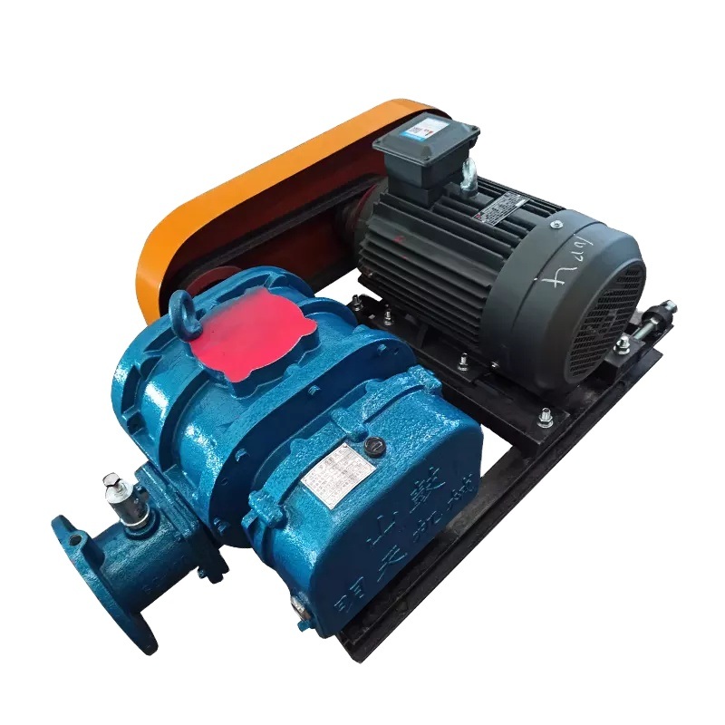 Pumpa Vacuum Blower Blower